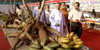 News Photo 2 - India - Associations - infam_karshika_mela_moovattupuzha